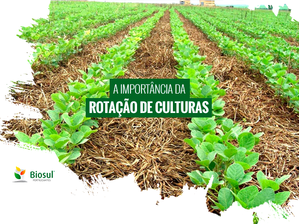 A importância da Rotação de culturas | Biosul Fertilizantes - (54) 3231 ...